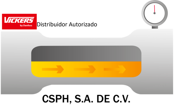 csph.com.mx