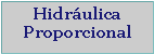 Cuadro de texto: Hidr�ulica Proporcional