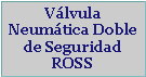 Cuadro de texto: V�lvula Neum�tica Doble de Seguridad ROSS